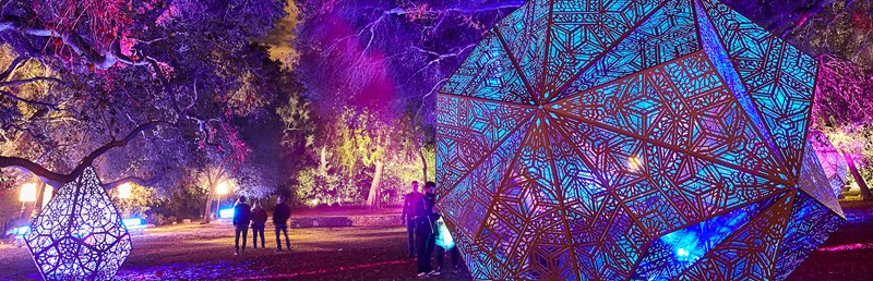 Forest trail of purple illuminated installations at night