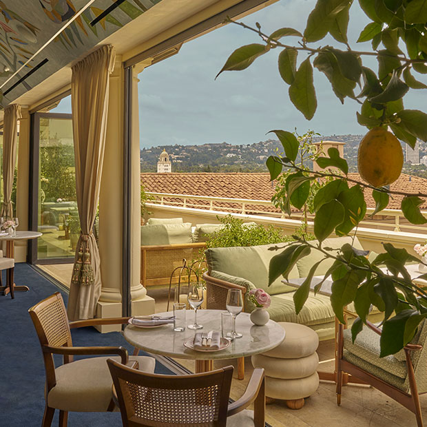 Dante | Rooftop Bar and Restaurant in Beverly Hills