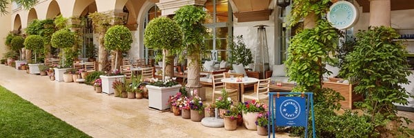 Outside seating of a café. There is a tiled walkway with trees, tables, and chairs. A blue sign reads 