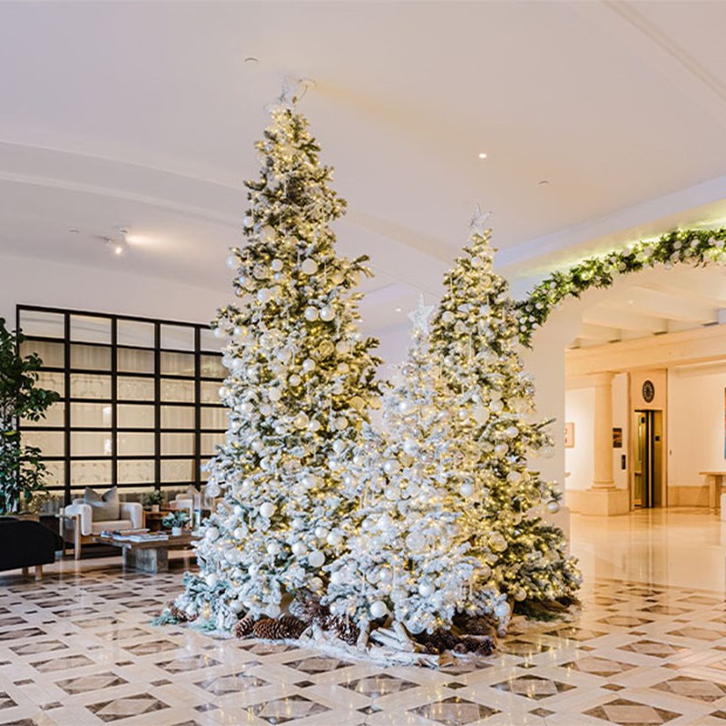 A trio of tall, snow-dusted Christmas trees illuminated with warm white lights in a luxurious hotel lobby.